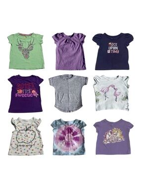 Baby girl 9 piece mixed brand tee bundle 6-12 months